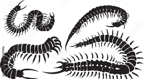 Set centipede. Hand drawn vector illustration	
