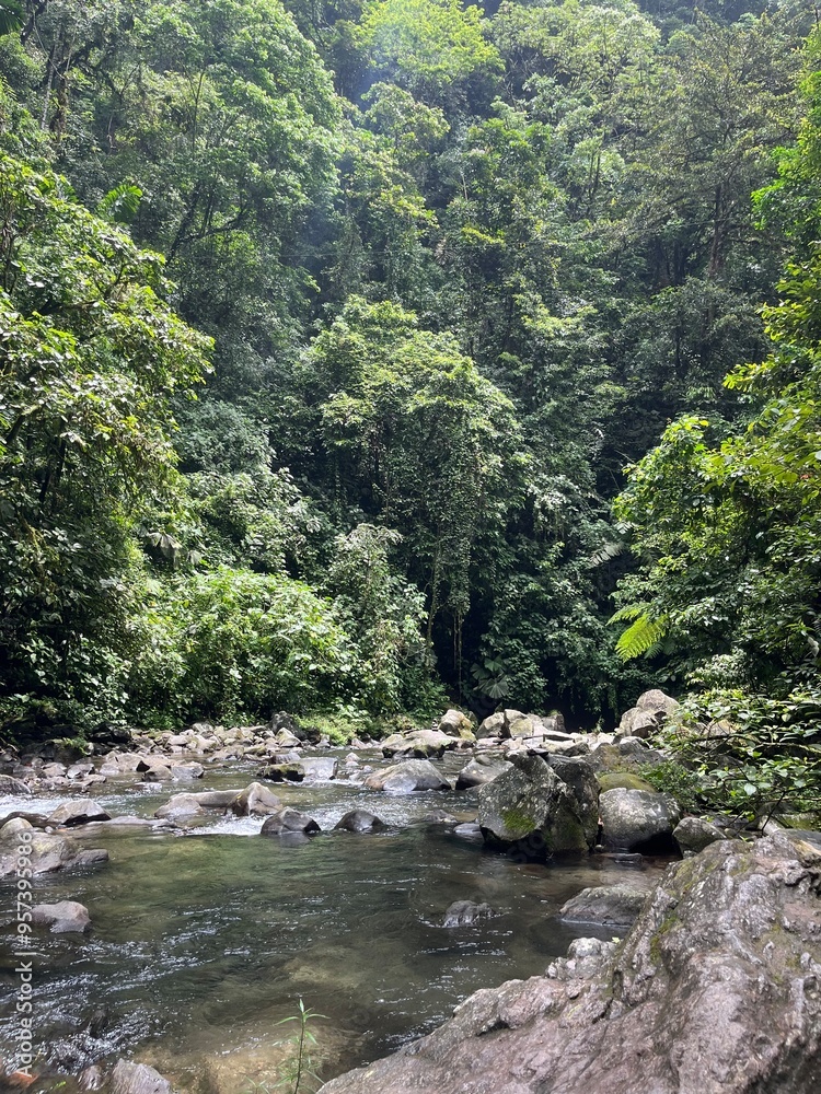 River in the Costa Rican Jungle