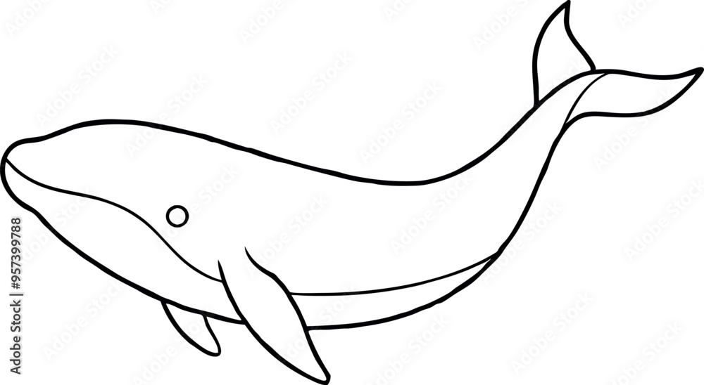 Fototapeta premium Minimalistic Black and White Line Drawing of a Humpback Whale in Side Profile