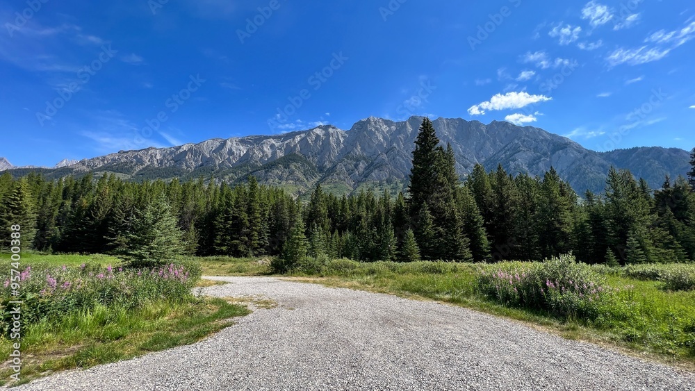 Fototapeta premium Beautiful mountain pass, driving through