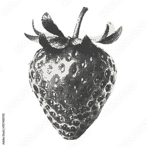 Monochrome strawberries. Contemporary Retro Surreal Collage Fruit. Trendy halftone clipart element. Vintage dotted sticker.