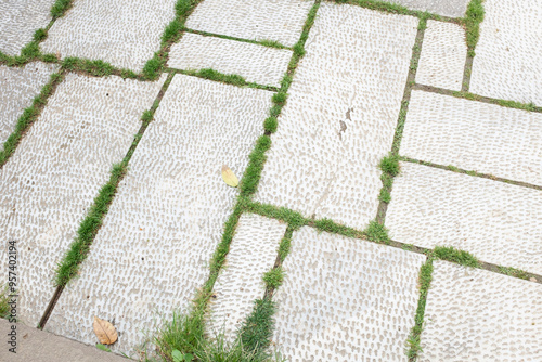 Close-up of outdoors stone pavement with green grass