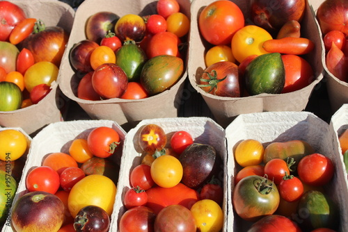 Verschiedene Arten von Tomaten