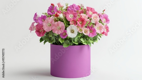 Fresh and colorful hollyhoc...