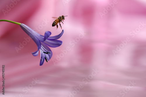 Bee taking off from flower into light. 