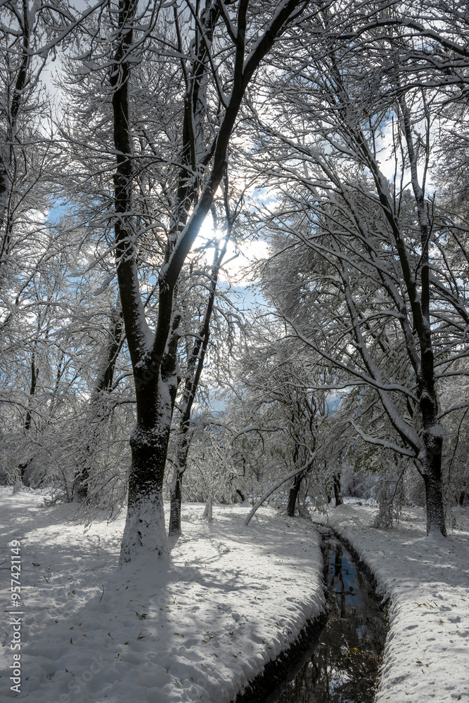 Landscape of South Park in city of Sofia, Bulgaria Landscape of South Park in city of Sofia, Bulgaria