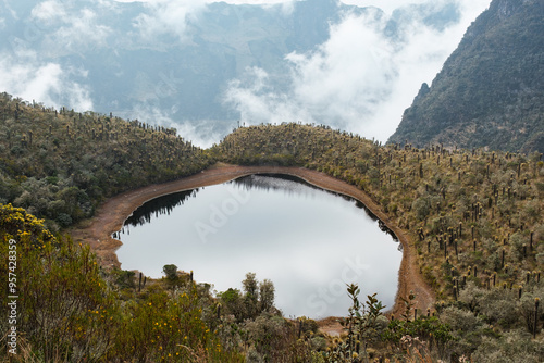 Paramo Lagoon in the Colombian Andes photo