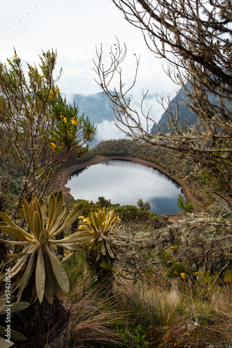 Andean paramo landscape photo