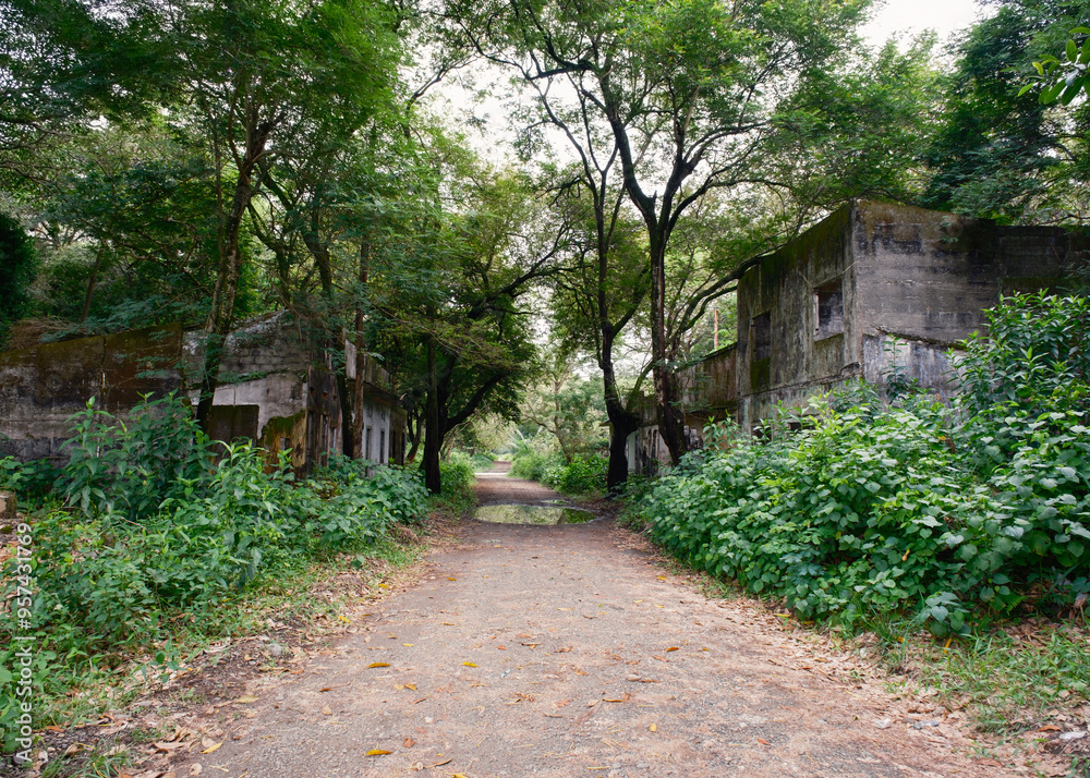 Street of a city destroyed by a natural disaster Street of a city destroyed by a natural disaster