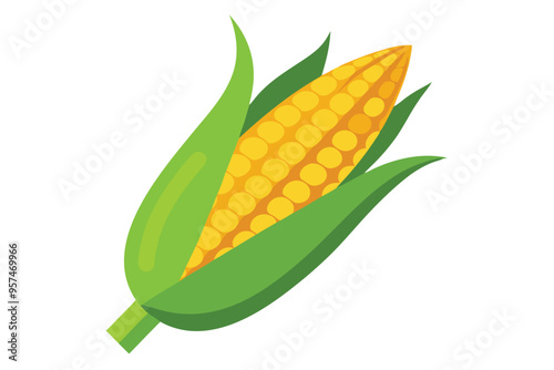  Corn Vector Illustration 