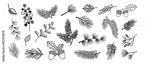 Christmas pine and fir, winter leaf spruce and branch tree, holly berry, evergreen plant, cedar twig icon, Xmas wood, black holiday decoration. New Year hand drawn element. Vector illustration