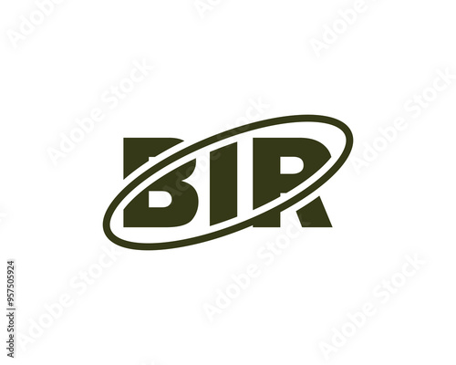 BIR Logo design vector template. BIR