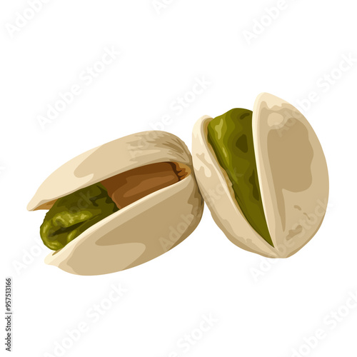 Vector illustration of pistachio nuts, isolated on white background.