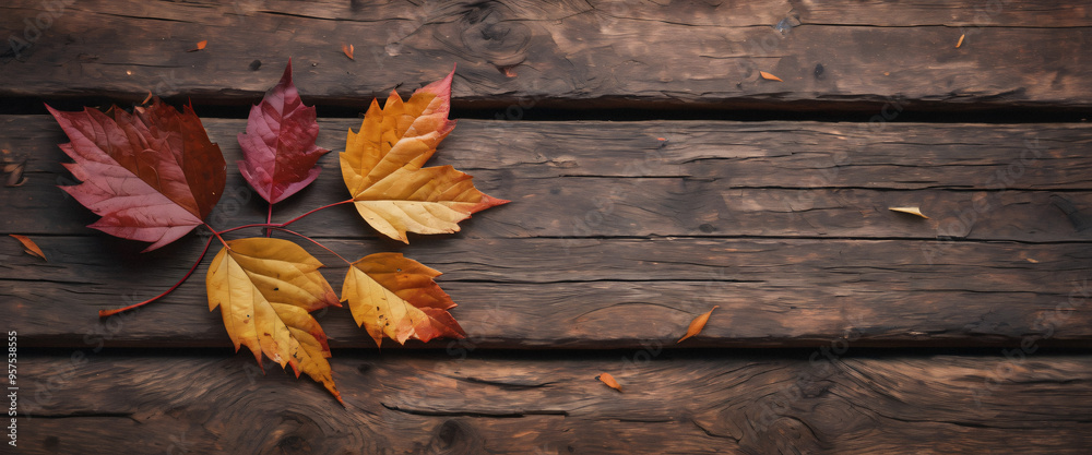 Autumn Leaves on Rustic Wooden Background Autumn Leaves on Rustic Wooden Background