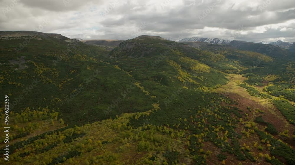 green forest and hills, bird's eye view green forest and hills, bird's eye view