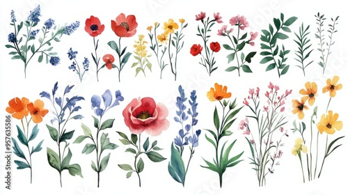 Mughal Garden Watercolor Elements: Elegant Floral Designs for Your Projects