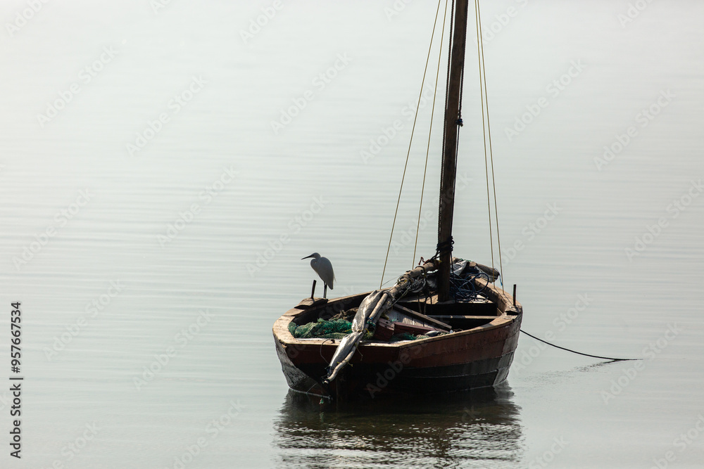 Little Egret perched on a wooden fishing boat in Mozambique Little Egret perched on a wooden fishing boat in Mozambique