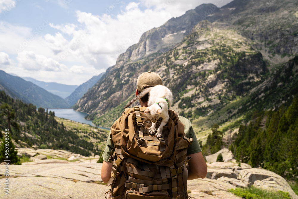 Hiker with Cat and Backpack in Mountain Hiker with Cat and Backpack in Mountain