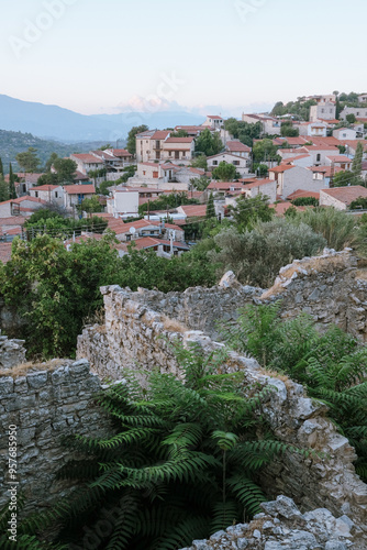 View on Lofou village photo