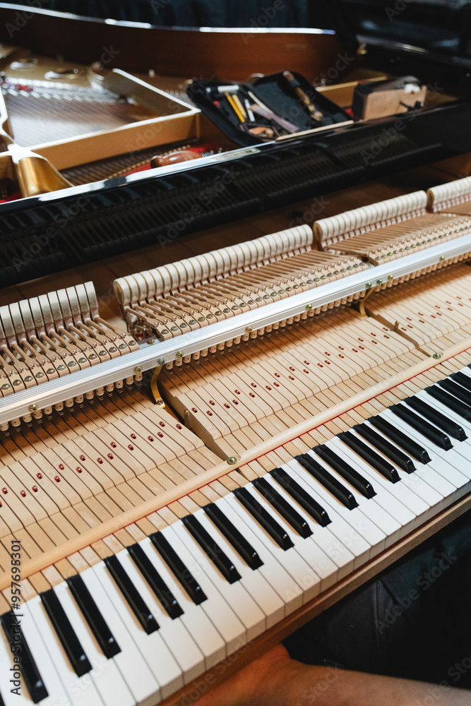 Grand Piano Action Mechanism and Keys Grand Piano Action Mechanism and Keys