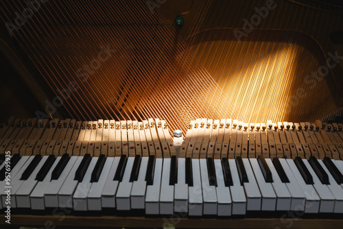 Inside View of Piano with Keys and Strings