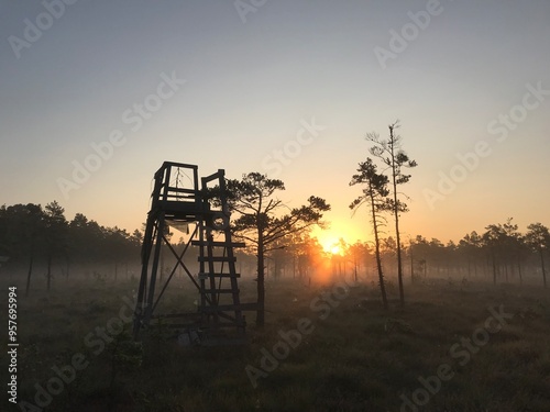 Sunrise in Swedish nature 