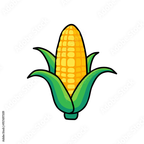 fresh corn on the cob vector illustration in flat style isolated on white background