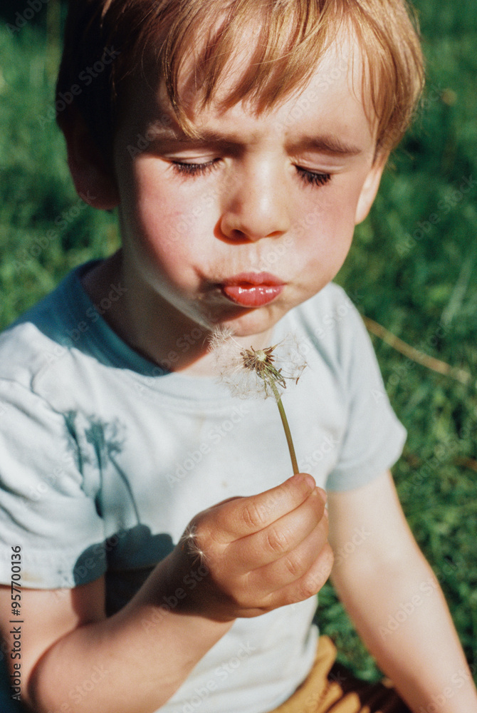 Child Makes Funny Face While Blowing Seeds off Dandelion Flower Child Makes Funny Face While Blowing Seeds off Dandelion Flower