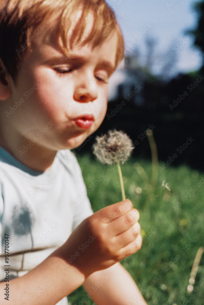 Child Makes Wish While Blowing Dandelion Fluff, Captured on 35mm Film Child Makes Wish While Blowing Dandelion Fluff, Captured on 35mm Film