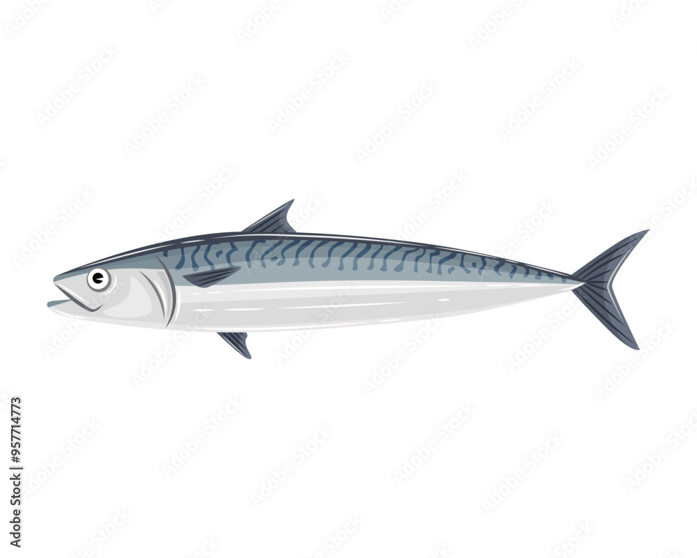 Vector illustration of Norwegian Mackerel Vector illustration of Norwegian Mackerel