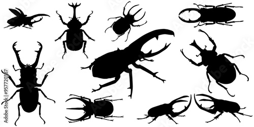 Beetle silhouette set vector design, eps 2