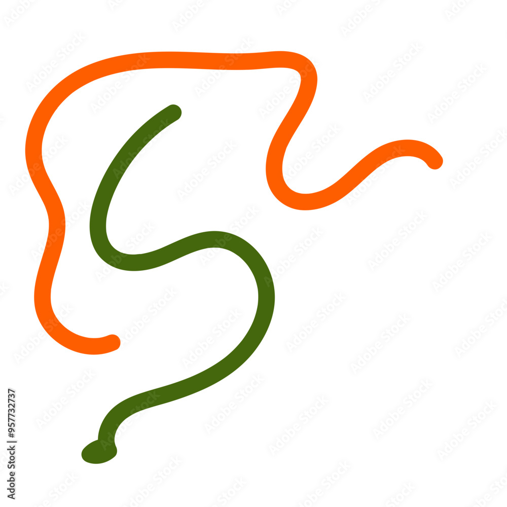 Fototapeta premium Green orange squiggly lines vectors