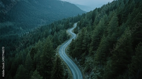 Winding Road Through Lush Forest