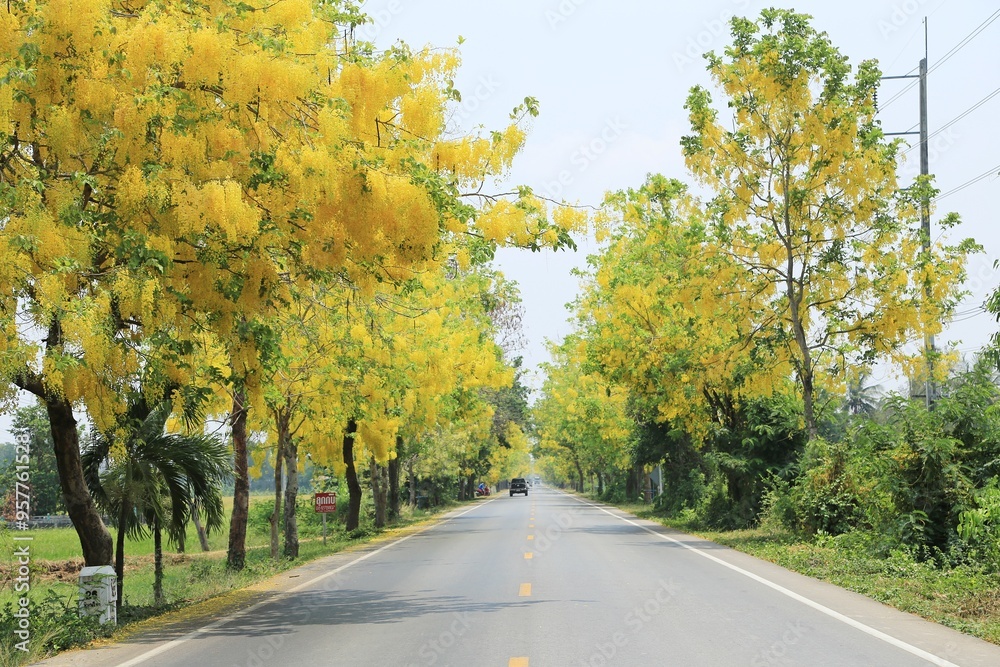 Naklejka premium road in autumn