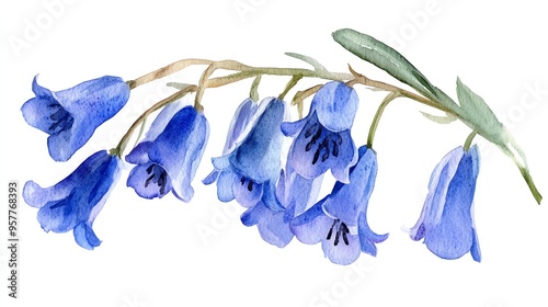 Beautiful watercolor illustration of delicate blue flowers, perfect for enhancing nature-themed designs and projects.