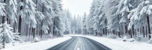 Snowy winter road in the forest. Panoramic image, Winter road through the snowy forest. Panoramic view of winter landscape, Winter road in the forest. Panoramic view. Beautiful winter landscape.