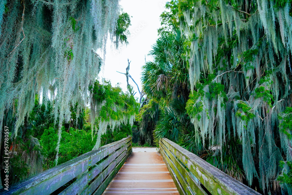 Obraz premium circle b bar reserve and lake hancock in lakeland FL