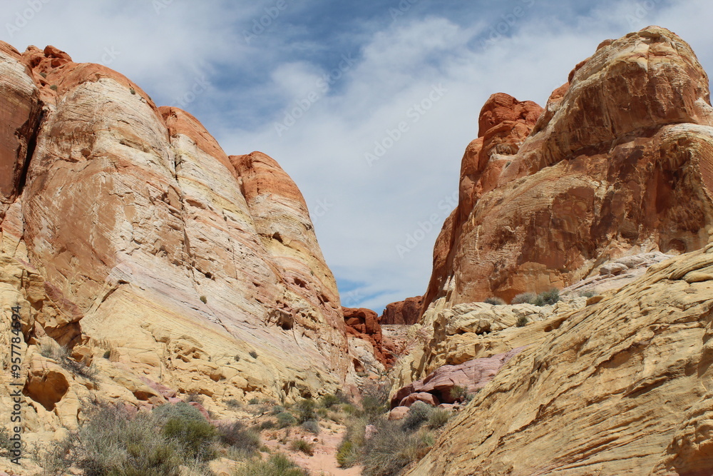 Fototapeta premium red rock canyon