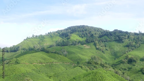 Wallpaper Mural Lush green hills under a bright blue sky on a sunny day with scattered clouds Torontodigital.ca