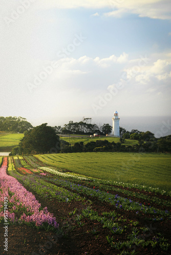 Majestic lighthouse on Tasmania's rugged coast, standing tall against a dramatic sky. Waves crash below, highlighting the structure's timeless beauty and coastal charm. Perfect for maritime themes. photo