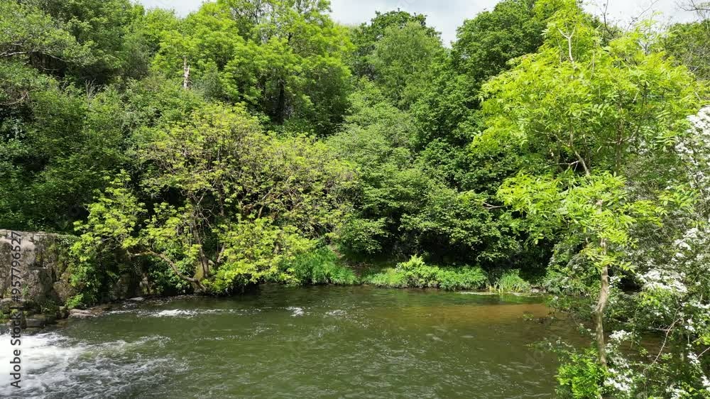 Pollanassa (Mullinavat falls) River Kilkenny Mullinavat, Ireland, Poulanassy Waterfall from a UAV Aerial Drone
Pollanassa (Mullinavat falls) River Kilkenny Mullinavat, Ireland, Poulanassy Waterfall from a UAV Aerial Drone