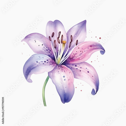 Delicate watercolor lily illustration