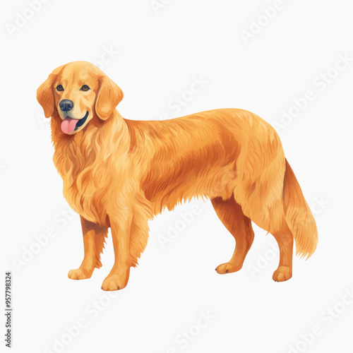 Golden Retriever dog illustration
