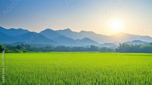 A peaceful morning in Nan province, Thailand, with green rice fields and distant mountains, under a clear, bright sky, capturing the essence of rural tranquility photo