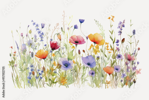 Colorful watercolor wildflower illustration