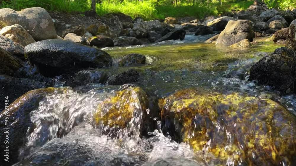 Clear, sparkling stream water flows gently over mossy rocks in a serene forest, creating a peaceful, natural scene perfect for nature and relaxation themes