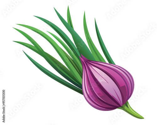 Chives vector illustration on white background