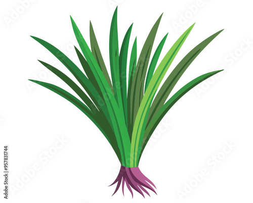 Chives vector illustration on white background