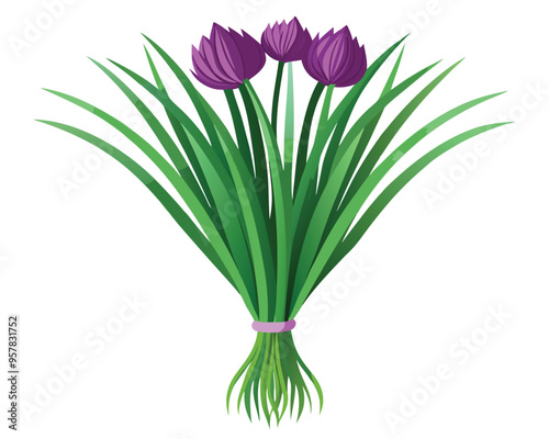 Chives vector illustration on white background