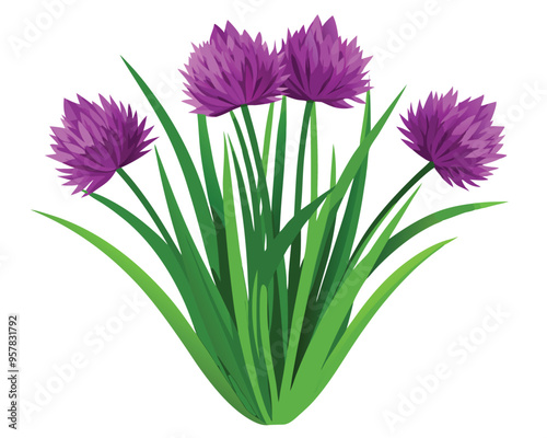 Chives vector illustration on white background